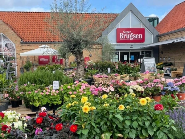 Et blomsterhav foran Superbrugsen i Gilleleje