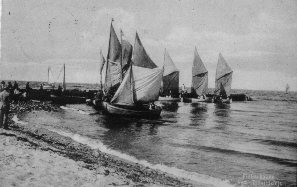 Fiskerbådene kommer ind til stranden i Tisvildeleje med sildefangst, ca. 1910