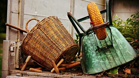 Har du brug for hjælp til at finde arbejde?