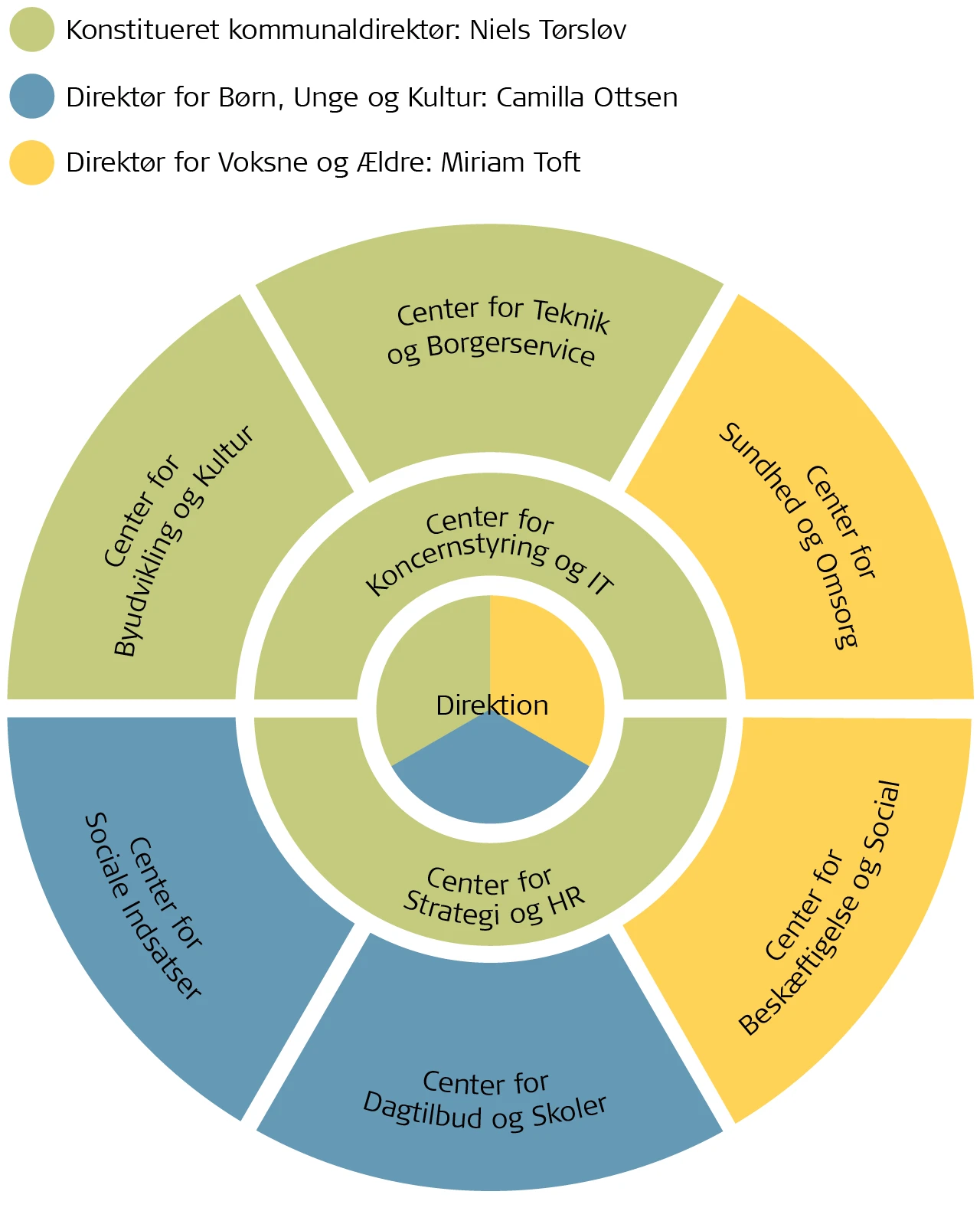 Organisationsdiagram
