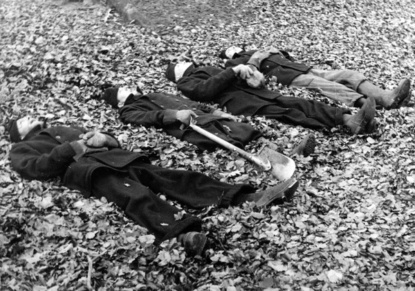 Militærnægtere tager en pause i arbejdet, 1954.